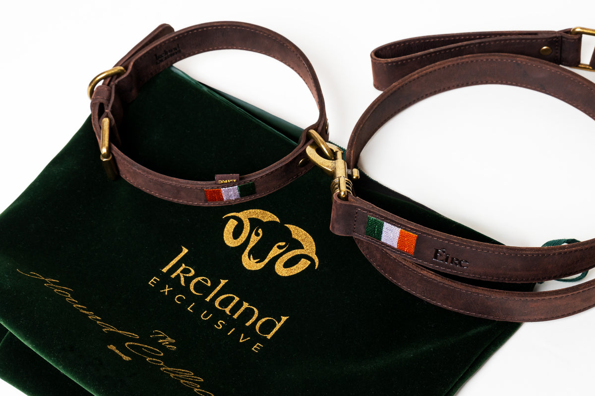 DOG LEAD & COLLAR - COMING SOON